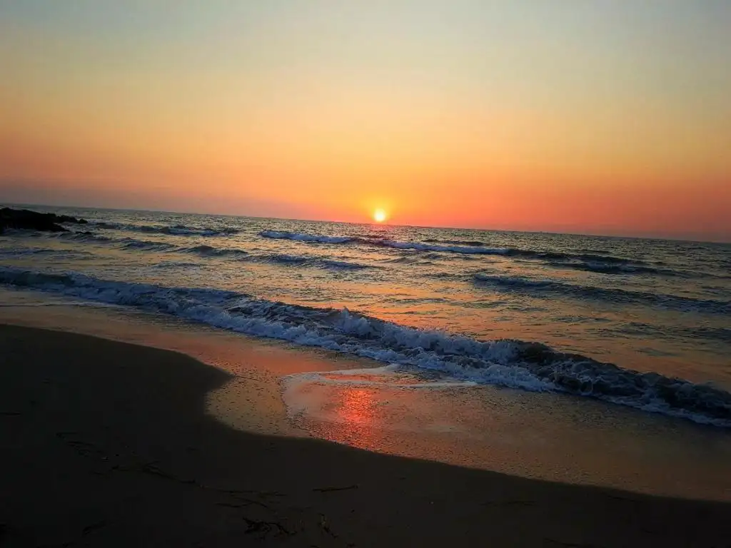 img_id_578129.webp