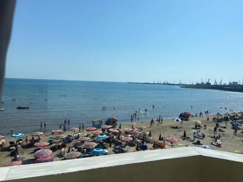 img_id_1118395.webp