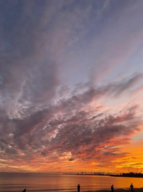 img_id_579145.webp