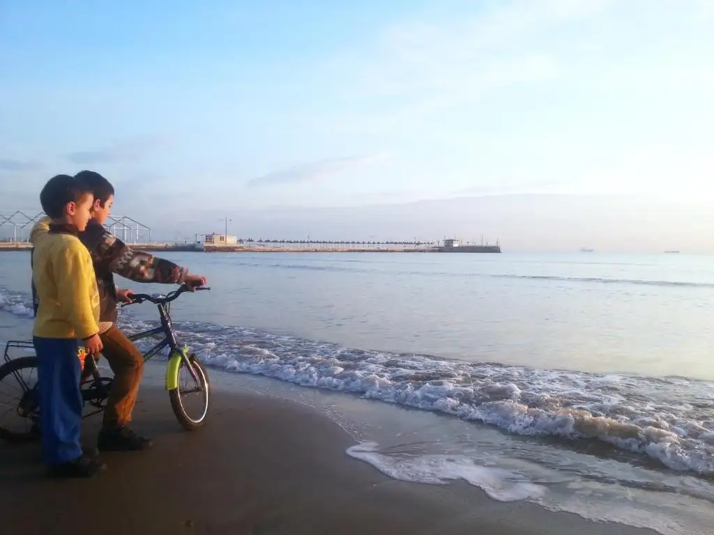 img_id_581281.webp