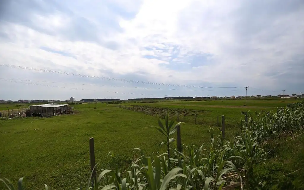 img_id_581693.webp