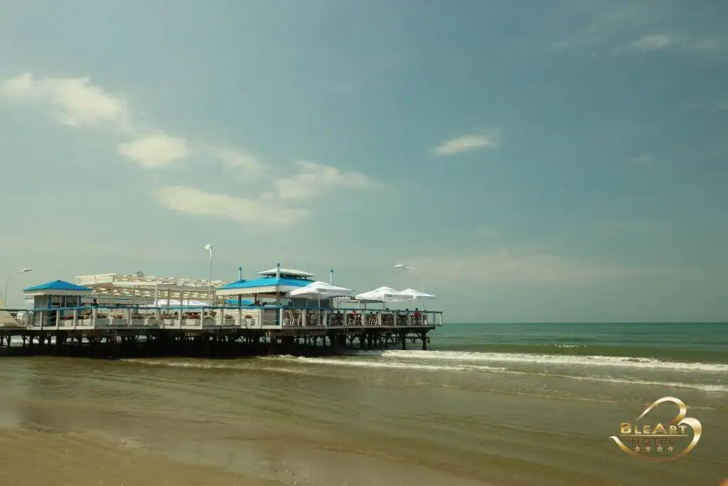 img_id_534467.webp