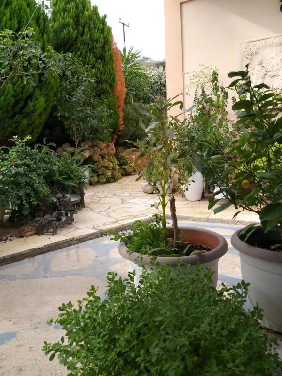 img_id_1181386.webp