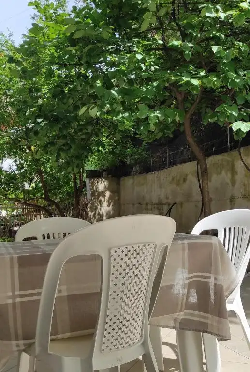 img_id_586791.webp