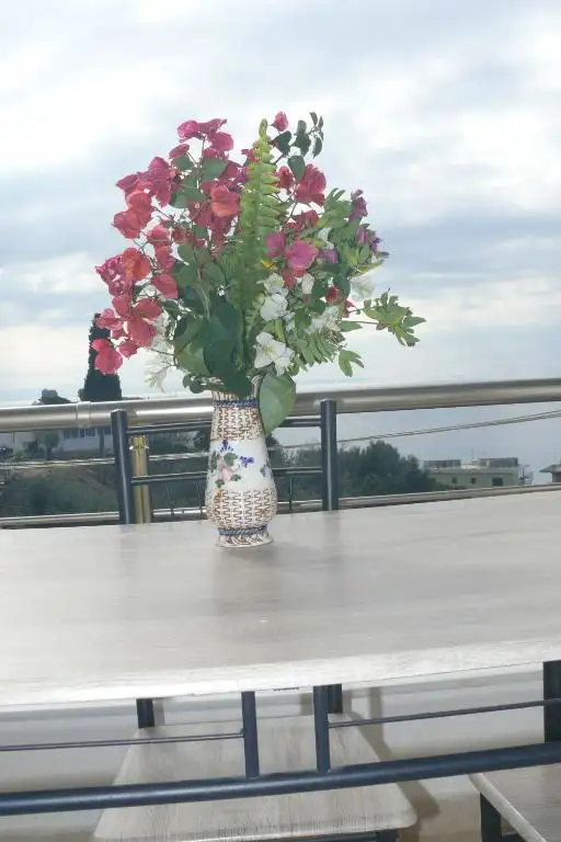 img_id_587187.webp
