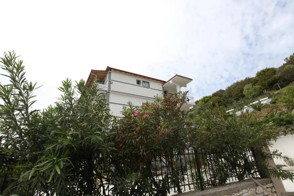 img_id_587212.webp