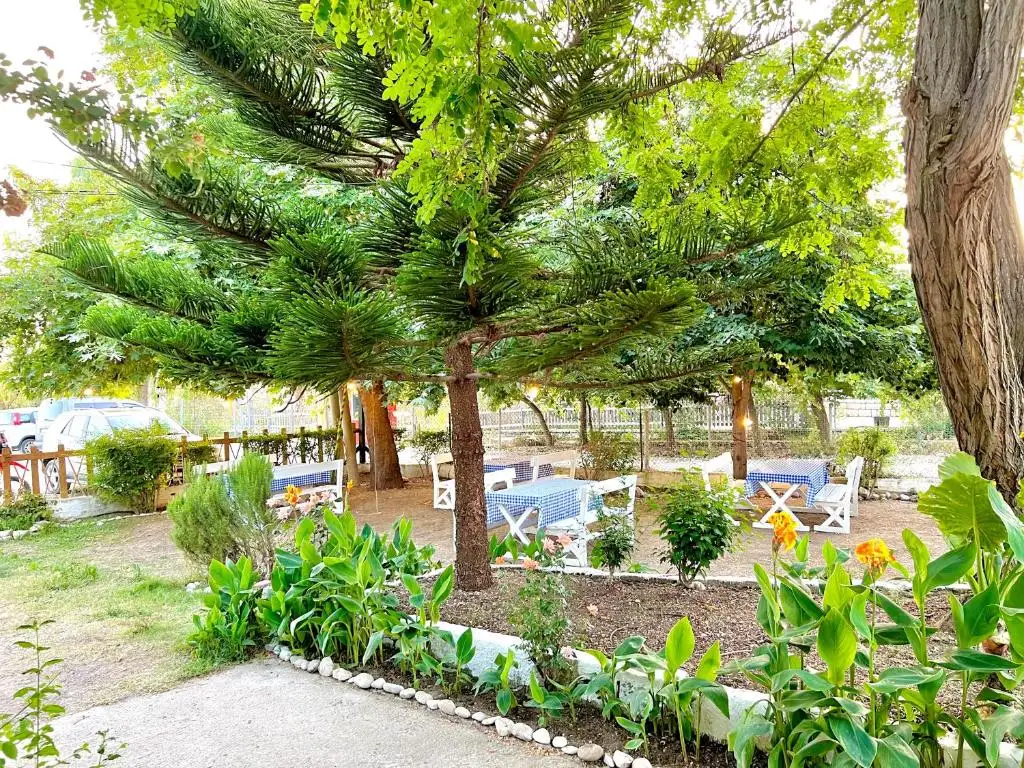 img_id_588398.webp