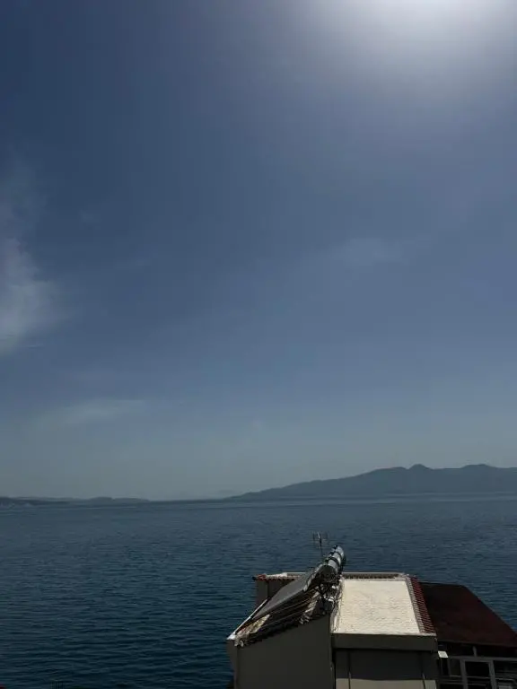 img_id_1183797.webp