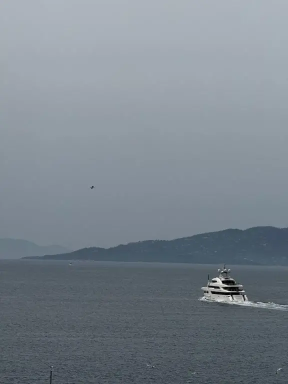 img_id_1183802.webp