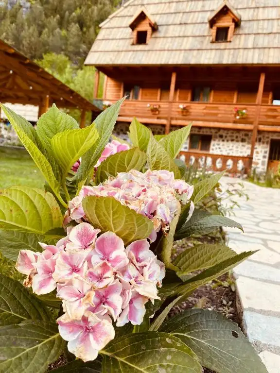 img_id_523313.webp