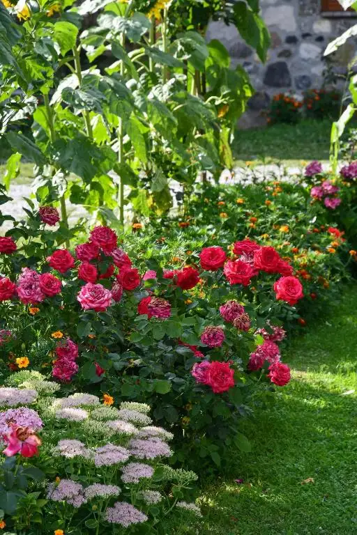 img_id_523327.webp