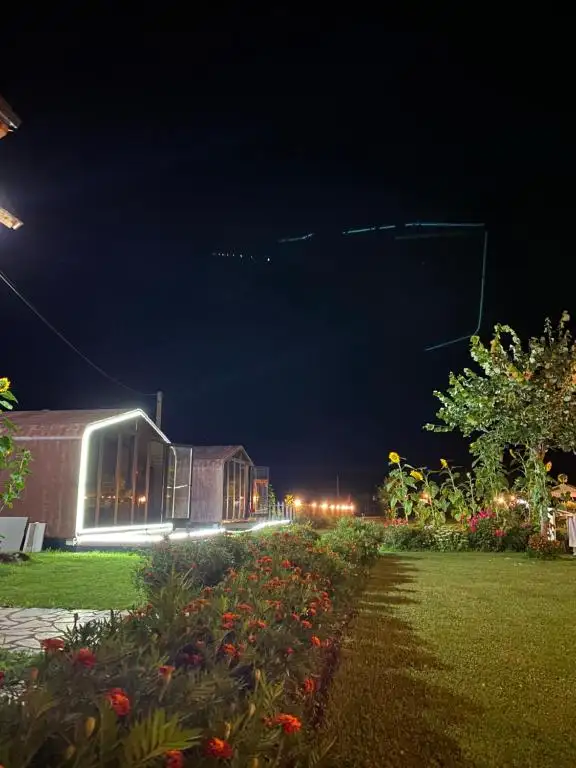 img_id_523383.webp