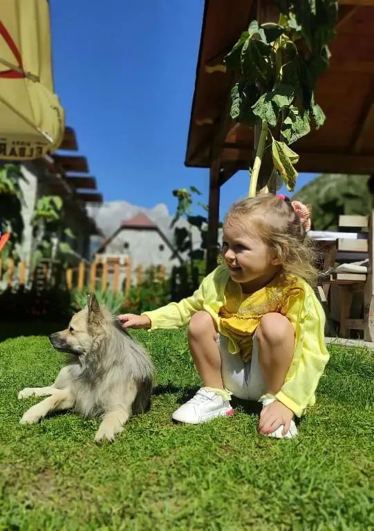 img_id_589967.webp