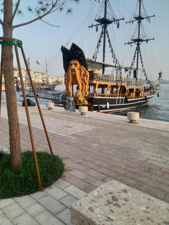img_id_1106538.jpg