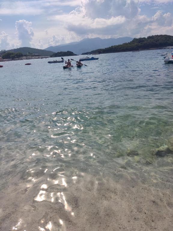 img_id_1106553.jpg