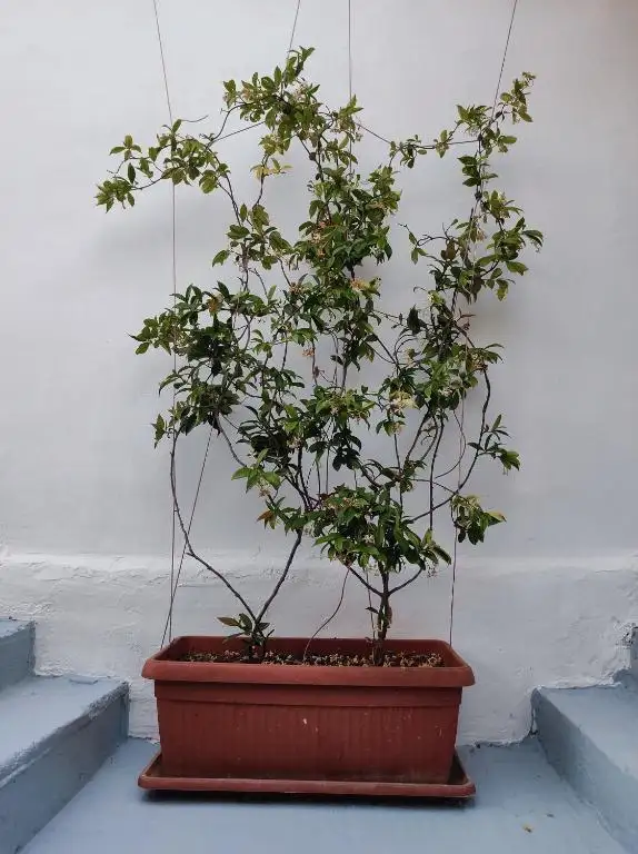 img_id_591119.webp