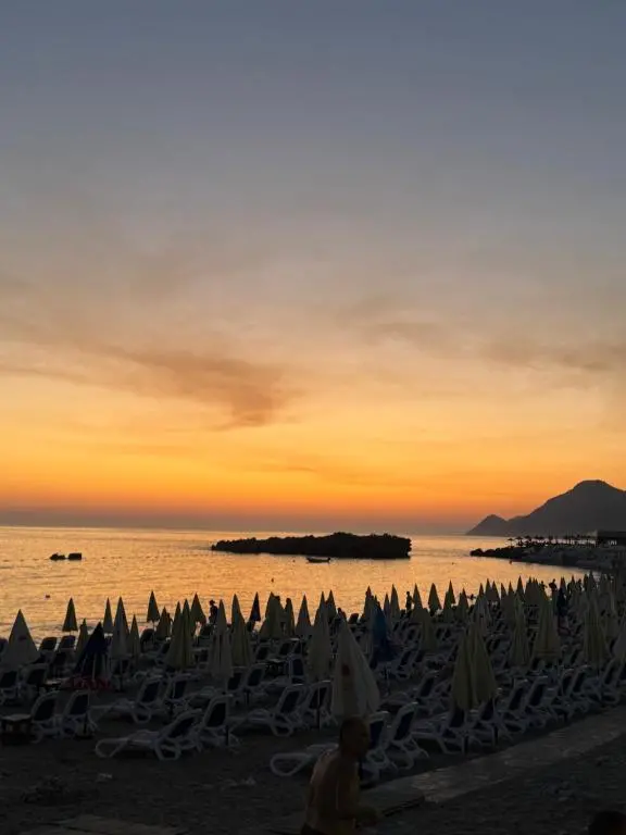 img_id_2452771.webp