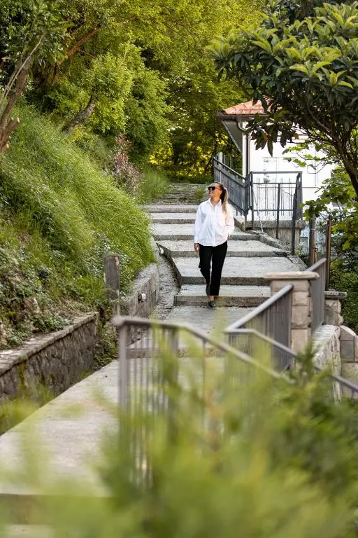 img_id_2452734.webp