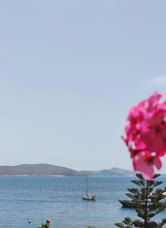img_id_613727.webp