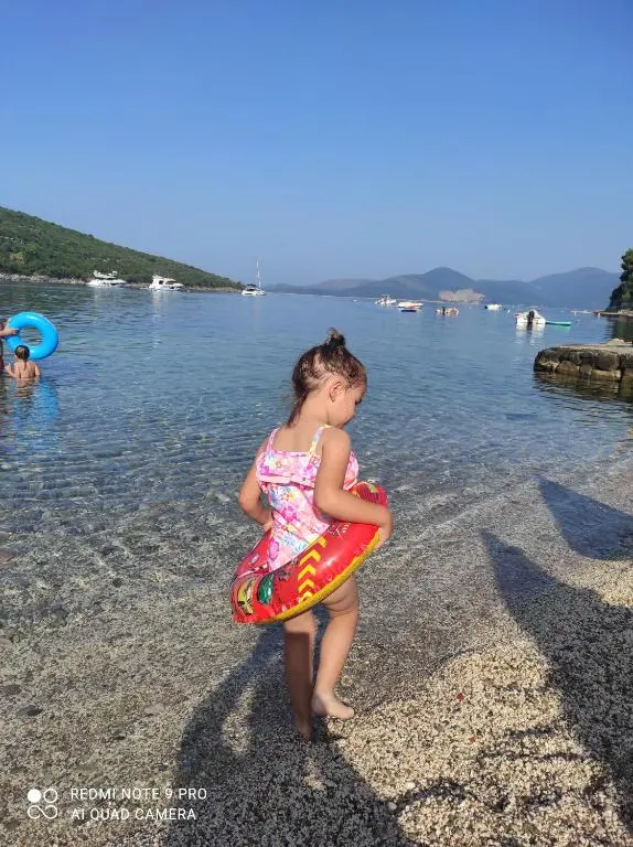 img_id_2452106.webp