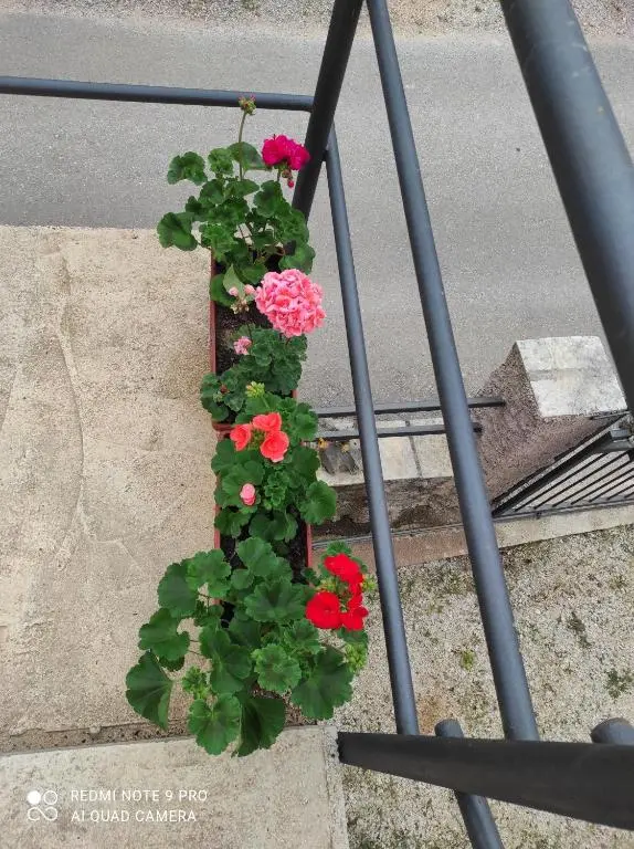 img_id_2452121.webp