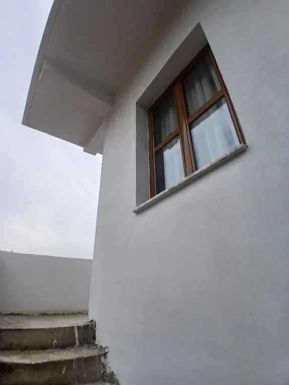 img_id_1703814.webp