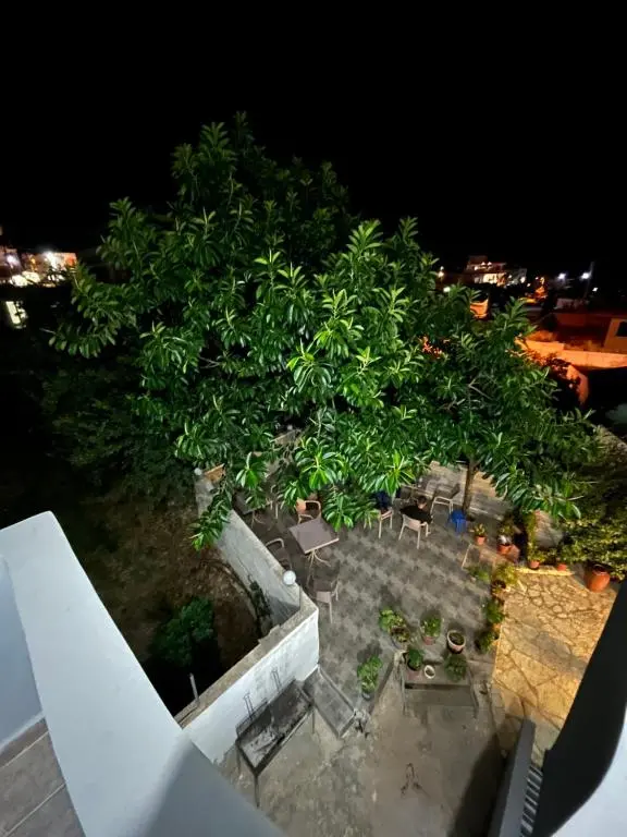img_id_1866374.webp