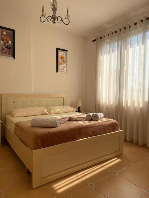 img_id_1717172.webp