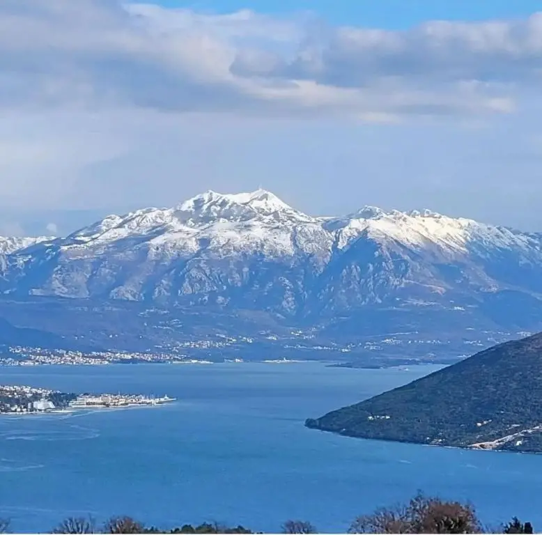 img_id_2449874.webp