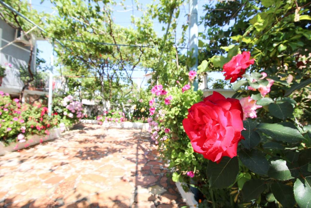 img_id_1094889.jpg
