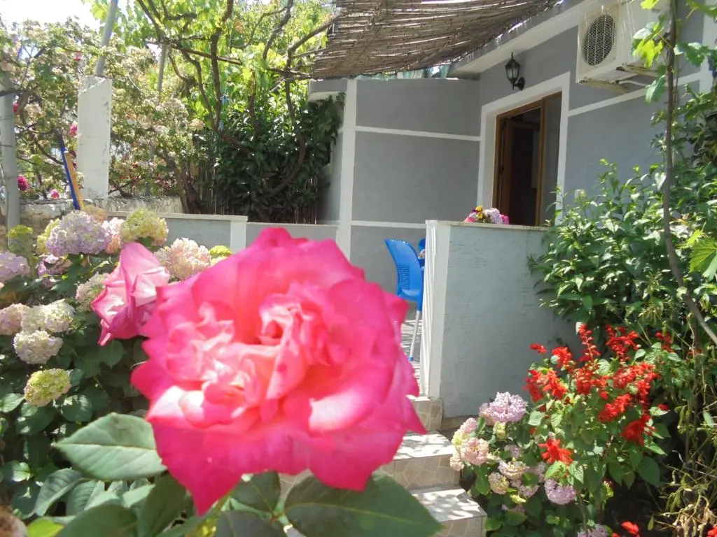 img_id_1094948.webp