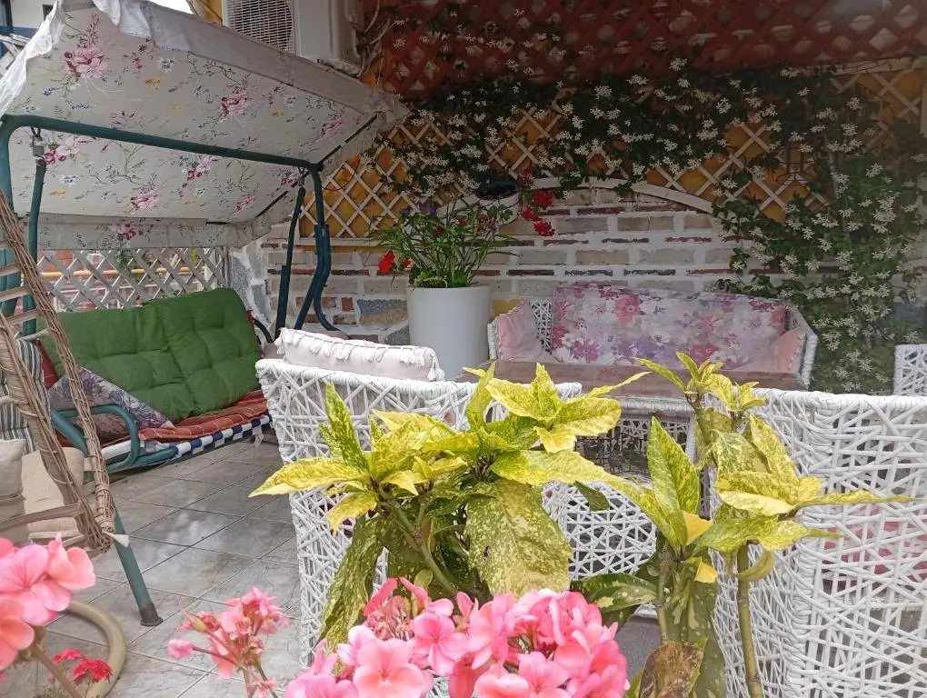 img_id_1649404.webp