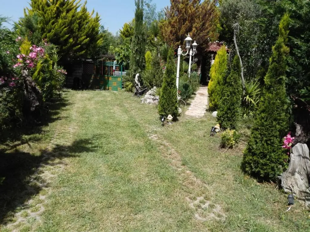img_id_1649436.webp