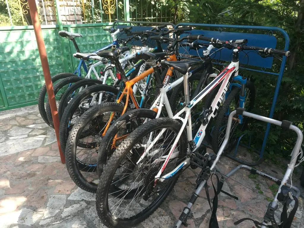 img_id_1649446.webp