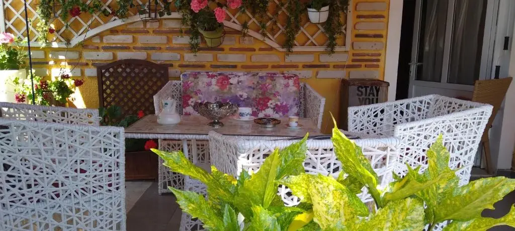 img_id_1649459.webp