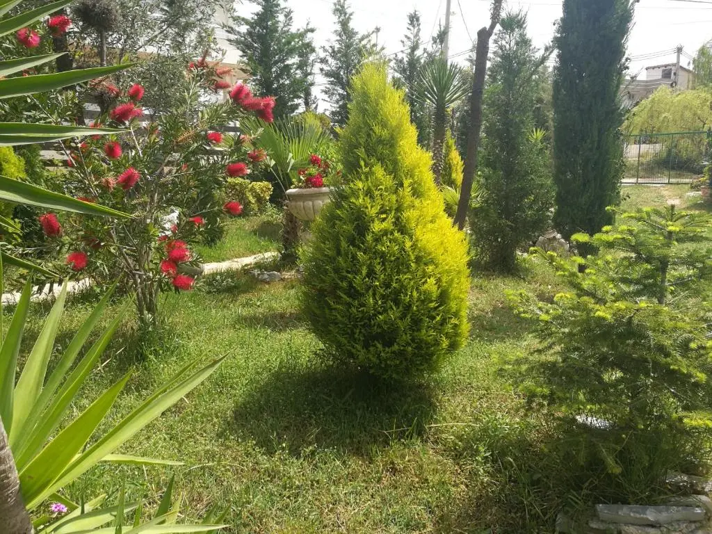 img_id_1649462.webp