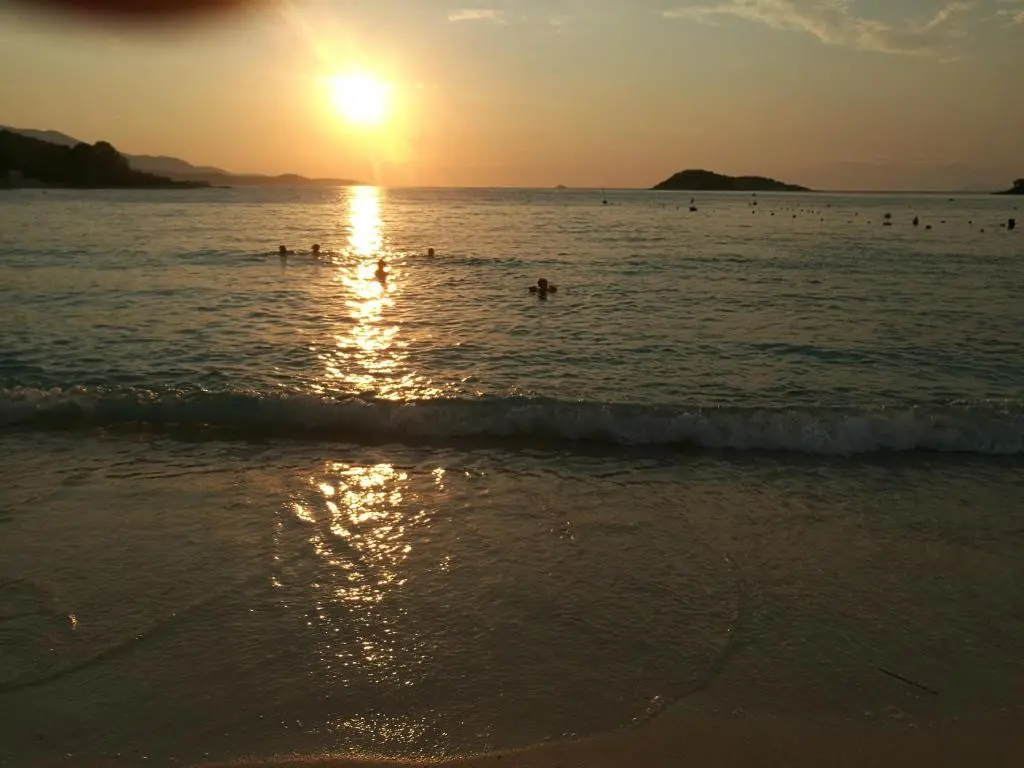img_id_1649463.webp