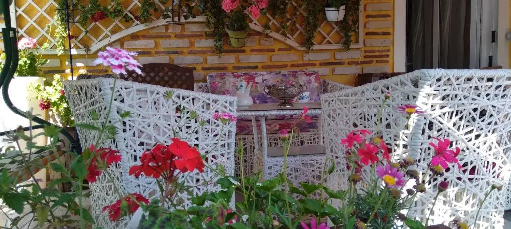 img_id_1649467.webp