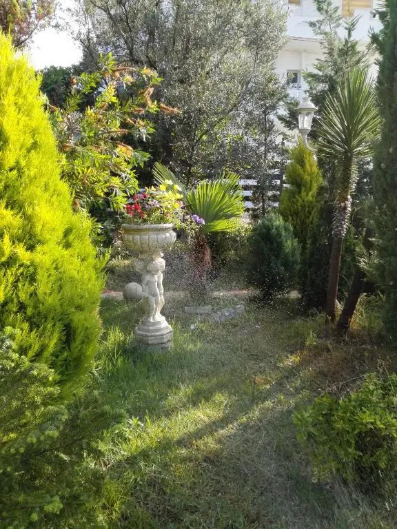 img_id_1649484.webp