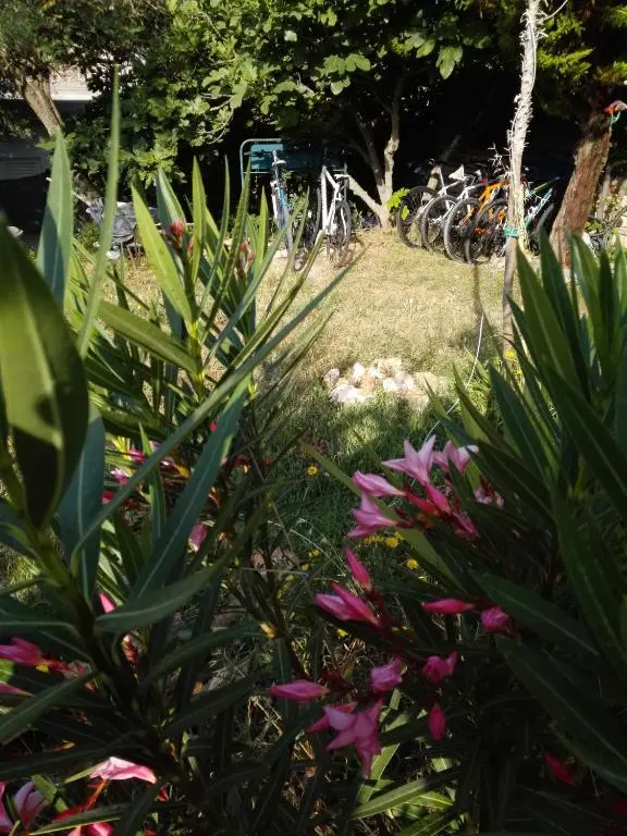 img_id_1649489.webp