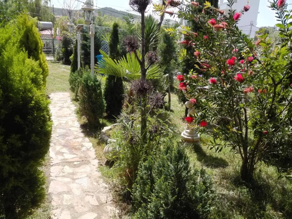 img_id_1649495.webp