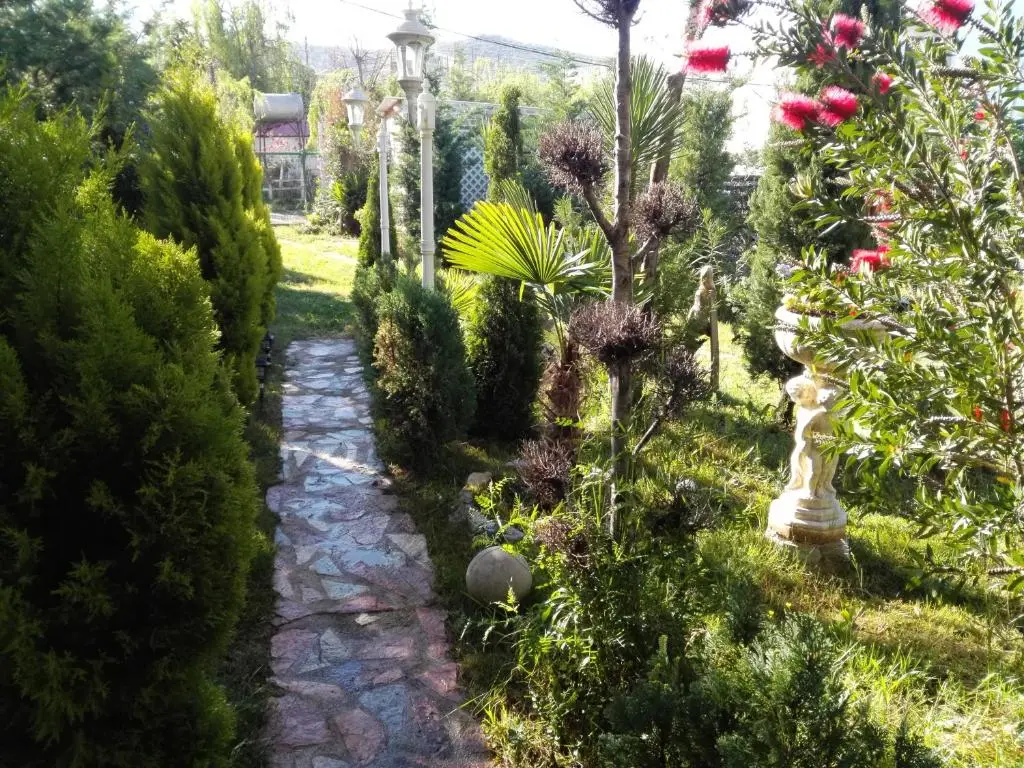 img_id_1649506.webp