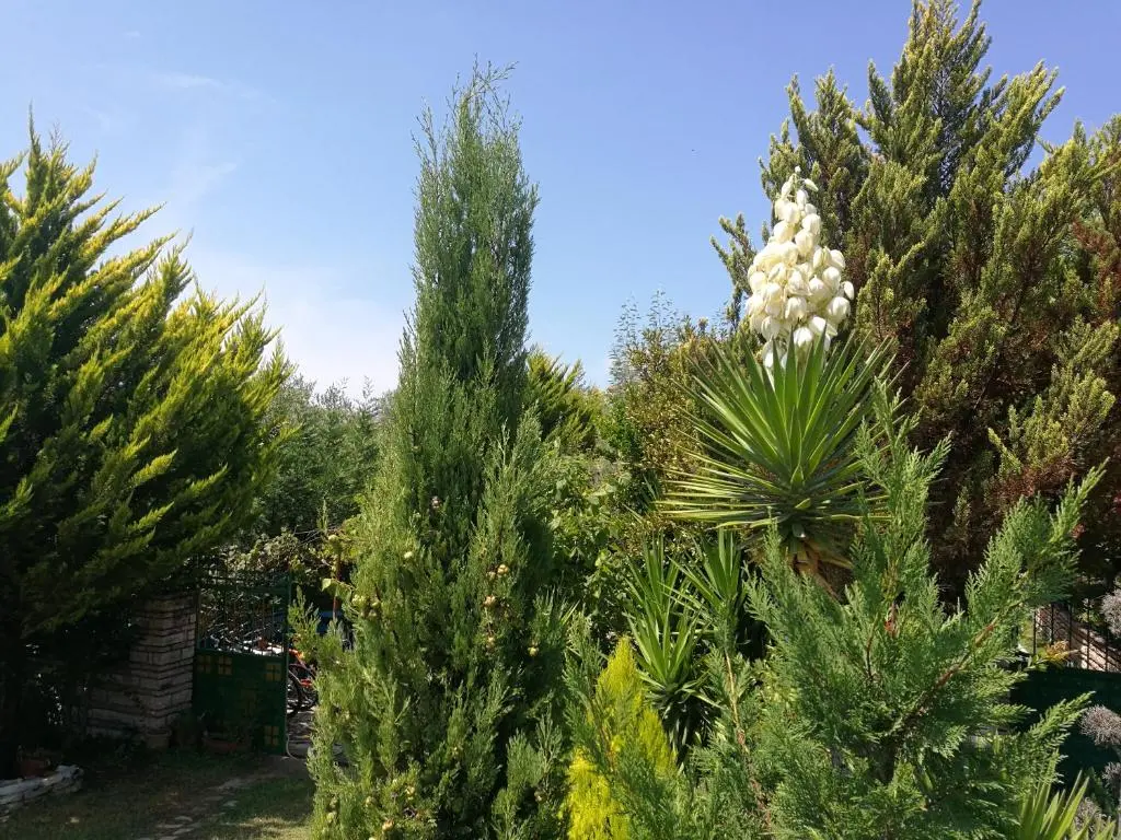 img_id_1649530.webp
