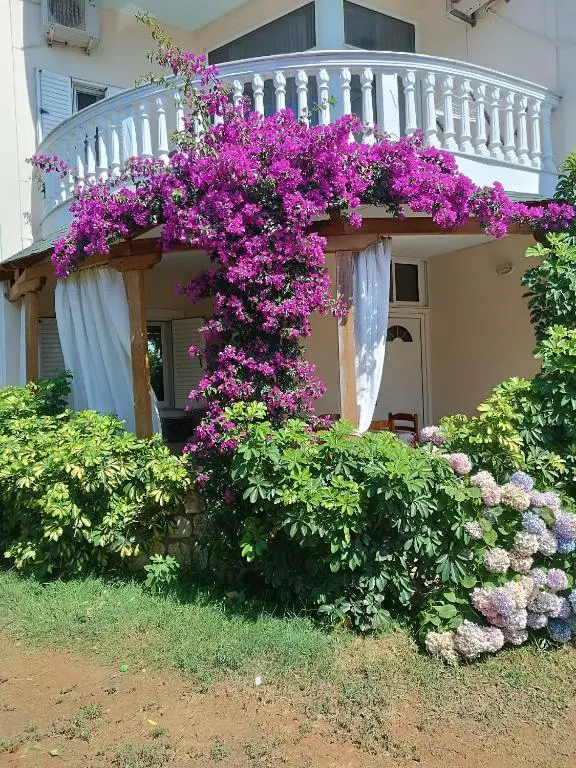 img_id_1644452.webp
