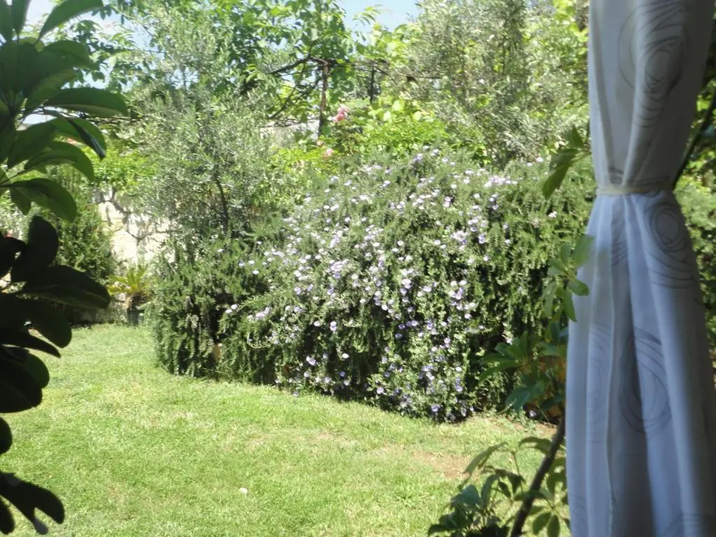 img_id_1644471.webp