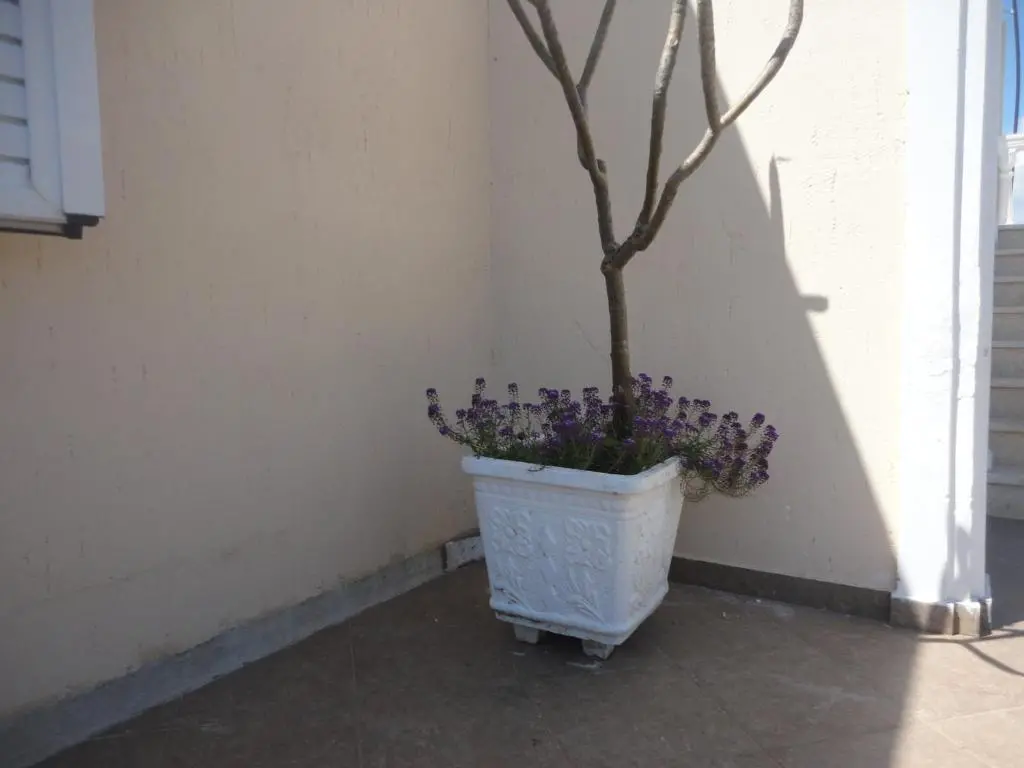 img_id_1644523.webp