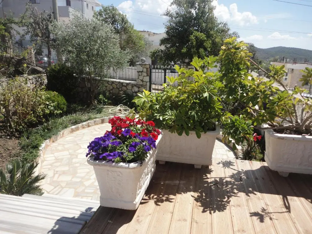img_id_1644529.webp
