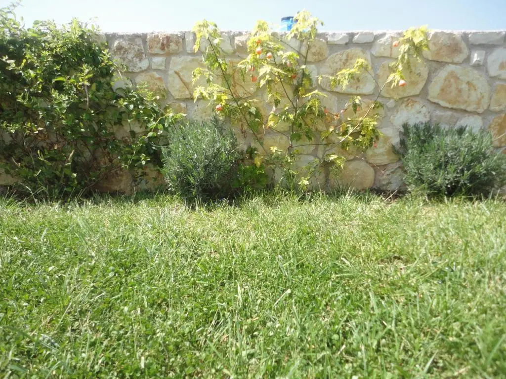 img_id_1644555.webp