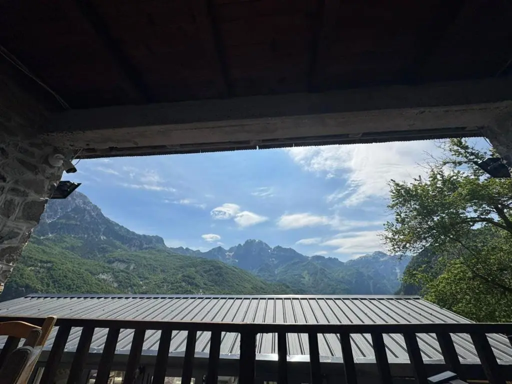 img_id_1125297.webp