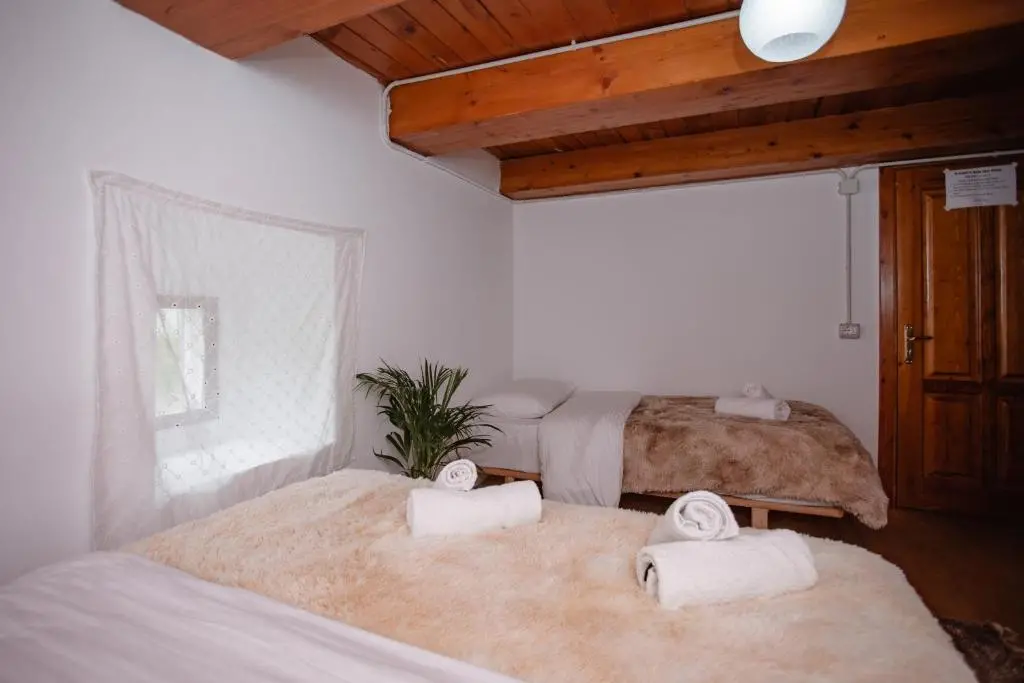 img_id_928088.webp